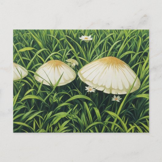 Carte Postale Jolies champignons (Devant)