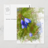 Carte Postale Jolies cloches bleues sur blanc (Devant / Derrière)