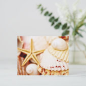 Carte Postale Jolies coquilles (Debout devant)