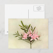 Carte Postale Jolies fleurs (Devant / Derrière)