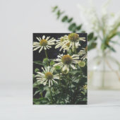 Carte Postale Jolies fleurs (Debout devant)