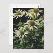 Carte Postale Jolies fleurs (Devant / Derrière)