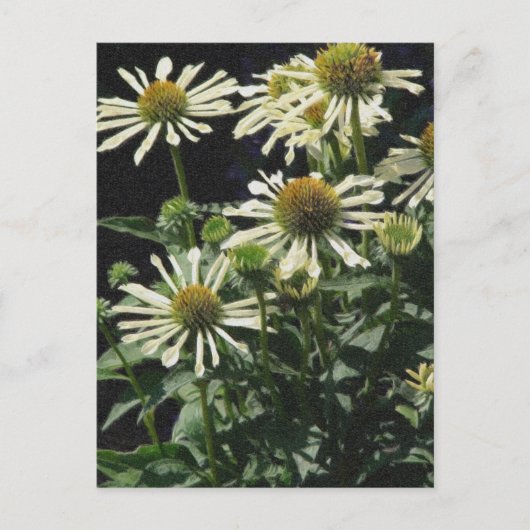 Carte Postale Jolies fleurs (Devant)
