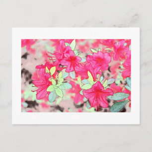 Carte Postale jolies fleurs d'azalée roses. Plante de jardin flo