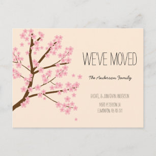 Carte Postale Jolies fleurs de cerisiers Sakura Arbre Nous avons