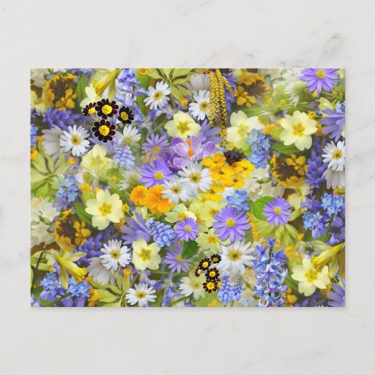 Carte Postale Jolies fleurs de printemps (Devant)