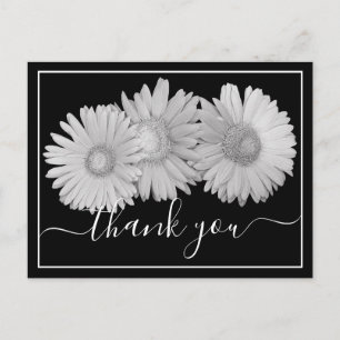 Carte Postale Jolies Gerbera Daisies Floral Botanique Coloré