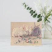Carte Postale Jolies lapines Vintages (Debout devant)