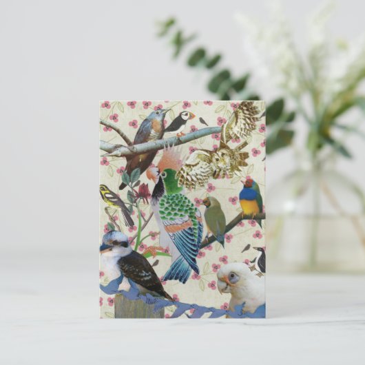 Carte Postale Jolies oiseaux (Debout devant)