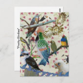 Carte Postale Jolies oiseaux (Devant / Derrière)