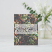 Carte Postale Jolies plantes succulentes Merci (Debout devant)