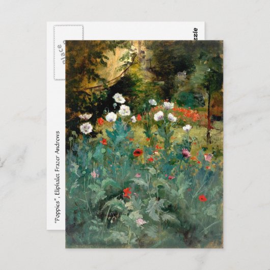 Carte Postale Jolies Poppies (Devant / Derrière)