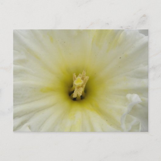 Carte postale Jolis (Devant)