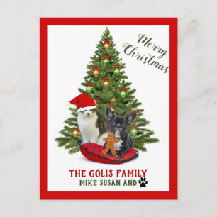 Carte Postale Jolis animaux de compagnie Famille Chien Chat Joye