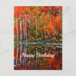 Carte Postale Jolis arbres d'automne orange réflexion d'annivers