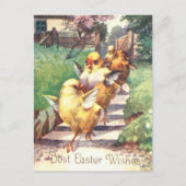 Carte Postale Jolis poussins de Pâques vintage (Devant)