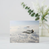 Carte Postale Jollys rogers (Debout devant)