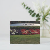 Carte Postale Jones Beach, Long Island (Debout devant)