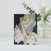 Carte Postale Jonquil Flower - Ecclesiastes 3:1 (Debout devant)