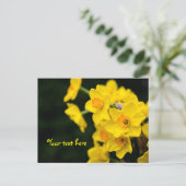 Carte postale jonquilles (Debout devant)