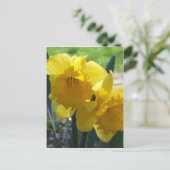 Carte Postale Jonquilles (Debout devant)