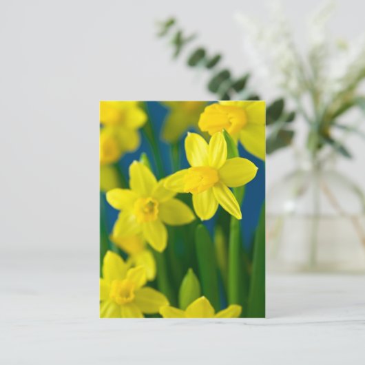 Carte Postale Jonquilles (Debout devant)