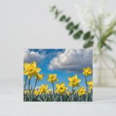 Carte Postale Jonquilles Danseuses (Debout devant)