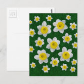 Carte Postale Jonquilles de Printemps (Devant / Derrière)