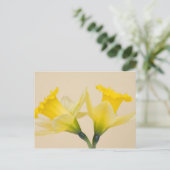Carte Postale Jonquilles jaunes (Debout devant)
