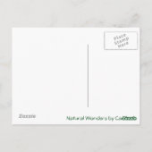 Carte Postale Jordan Pond (Dos)