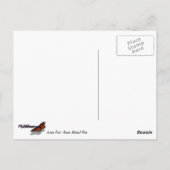 Carte Postale Jordan Pond I au Parc national de l'Acadie (Dos)