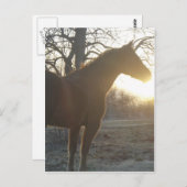 Carte Postale Jose Benito (Devant / Derrière)