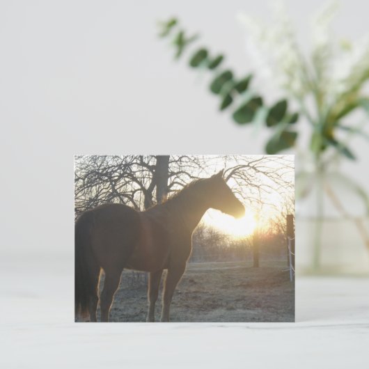 Carte Postale Jose Benito (Debout devant)