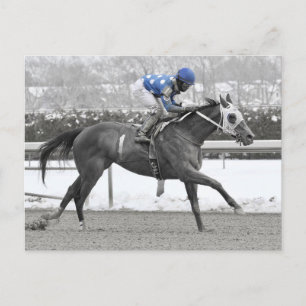 Carte Postale Jose Lezcano sur Mo Flash