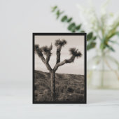 Carte Postale Joshua Tree (Debout devant)