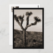 Carte Postale Joshua Tree (Devant / Derrière)