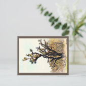 Carte postale Joshua Tree (Debout devant)