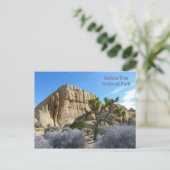Carte postale Joshua Tree ! (Debout devant)