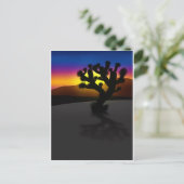 Carte Postale Joshua Tree (Debout devant)