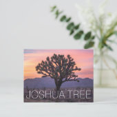 Carte Postale Joshua Tree (Debout devant)