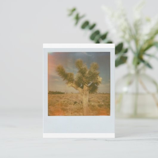 Carte Postale Joshua Tree Décoré (Debout devant)