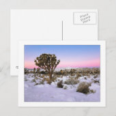 Carte Postale "Joshua Tree In Snow" (Devant / Derrière)