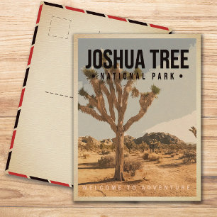 Carte Postale Joshua Tree National Park Californie Vintage