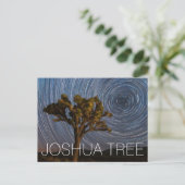 Carte Postale Joshua Tree National Park Night Sky (Debout devant)