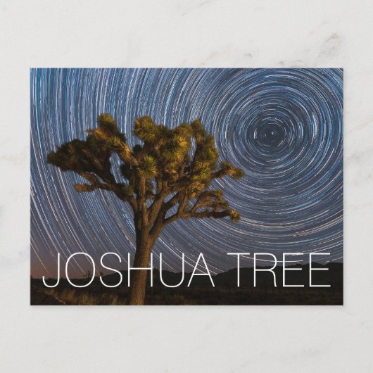 Carte Postale Joshua Tree National Park Night Sky (Devant)