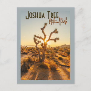 Carte Postale Joshua Tree National Park Souvenir Cadeau