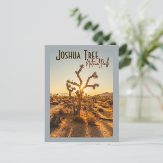 Carte Postale Joshua Tree National Park Souvenir Cadeau (Debout devant)