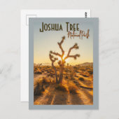 Carte Postale Joshua Tree National Park Souvenir Cadeau (Devant / Derrière)