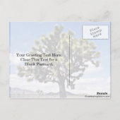 Carte Postale Joshua Tree - Parc national de Joshua Tree (Dos)