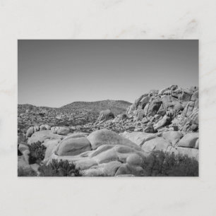 Carte Postale Joshua Tree Rocky Landscape - Photographie